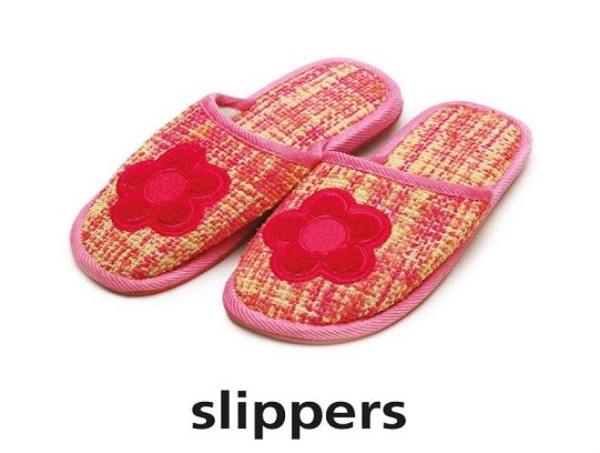 <p>slippers</p>