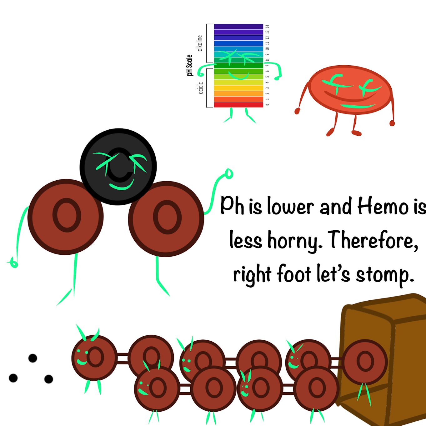 <p><span class="tt-bg-yellow">CO2</span> produced during cellular respiration <span class="tt-bg-yellow">lowers blood pH</span> and <span class="tt-bg-yellow">decreases</span> the <span class="tt-bg-yellow">affinity</span> of <span class="tt-bg-yellow">hemoglobin</span> for O2, causing a rightward shift and <span class="tt-bg-yellow">facilitating the offloading of oxygen</span></p>