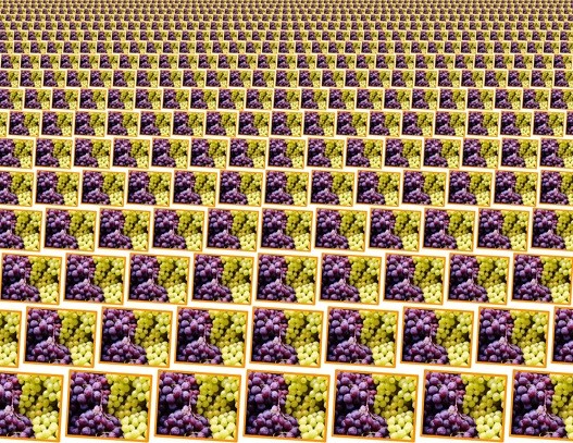 grapes