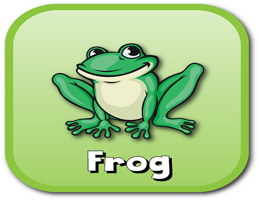 frog