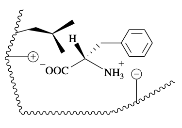 <p>Will this enantiomer form a complex with the substrate? If not why?</p>