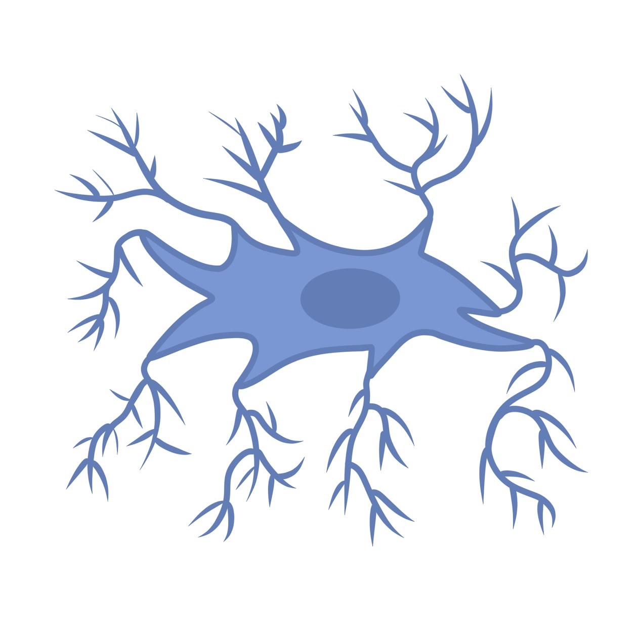 <p><span class="tt-bg-green">Immune</span> cells that protect the CNS</p>