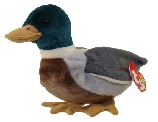 <p>jake the duck</p>