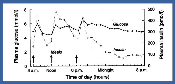 <p>☆Insulin ensures stable plasma glucose levels by facilitating the uptake of glucose into cells, where it can be stored or used for energy production. </p><p>☆Additionally, insulin promotes the conversion of excess glucose into glycogen for storage in the liver and muscles, preventing hyperglycaemia.</p>