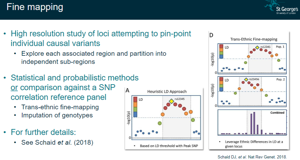 <p><strong>High-resolution study</strong>: Aiming to pinpoint individual causal variants within a locus.</p><p><strong>Sub-region partitioning</strong>: Exploring each associated region and dividing it into independent sub-regions for further analysis.</p><p><strong>Statistical/probabilistic methods</strong>: Using advanced techniques or comparison with SNP correlation reference panels to refine the regions of interest.</p><p><strong>Trans-ethnic fine-mapping</strong>: Performing fine-mapping across different populations and imputing genotypes for more accurate results.</p>