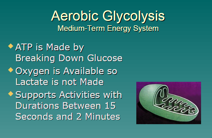 <p>aerobic glycolysis </p>