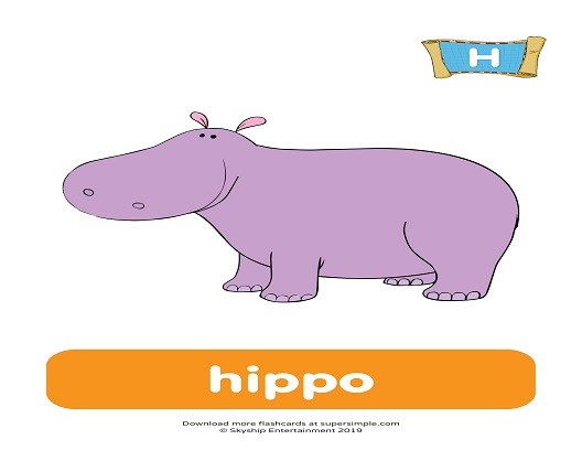 <p>henrich the hippo</p>
