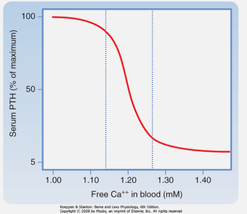 <p>Calcium binding suppresses PTH release</p>