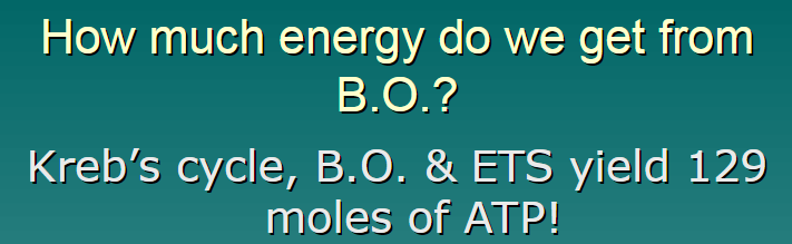 <p>129 moles of atp</p>