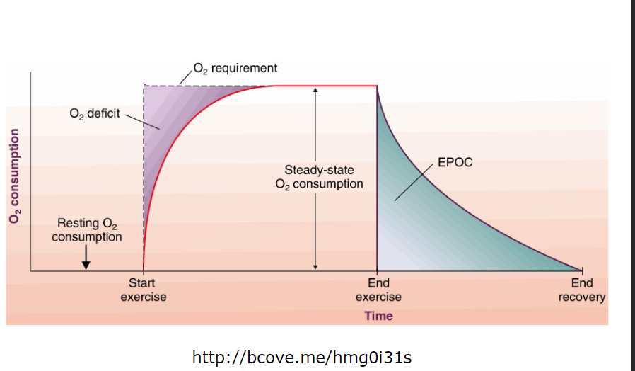 <p>oxygen deficit </p>