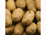 <p>potatoes</p>