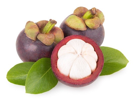 mangosteen