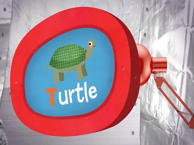 <p>turtle</p>