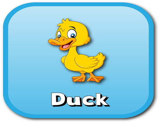 duck