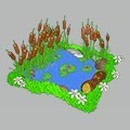 <p>playful pond</p>