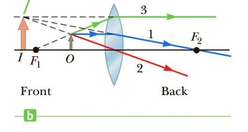 <p><strong>virtual</strong>, <strong>upright</strong>, <strong>larger</strong> than the object, and on the <strong>front</strong> side of the lens.</p>