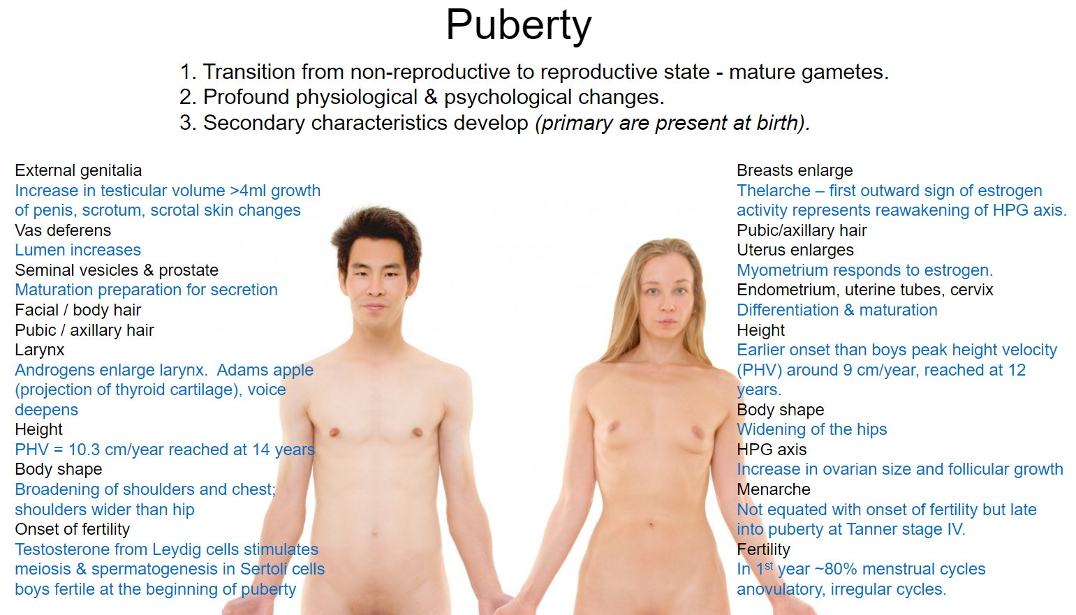 <p>•Transition from non-reproductive to reproductive state, leading to mature gametes.</p><p>•Involves profound physiological and psychological changes.</p><p>•Development of secondary sexual characteristics (primary characteristics are present at birth).</p>