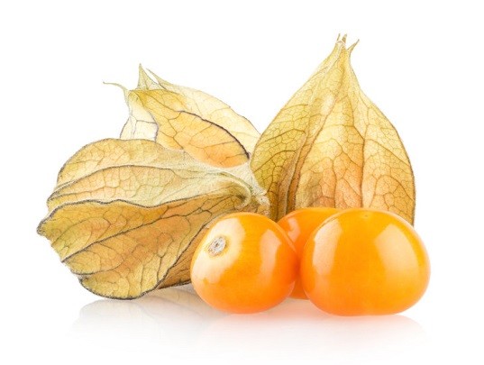 physalis