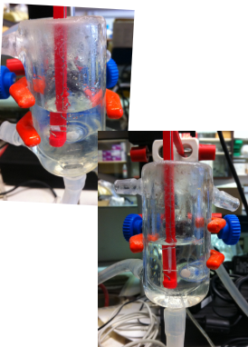 <p>Large organ baths, such as those used in Y1 practicals for aortic ring experiments, are used to investigate the functional properties of smooth muscle segments, including uterine smooth muscle.</p>