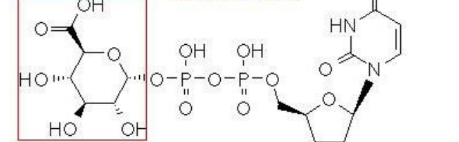 <p>What cofactor is associated with this metabolite?</p>