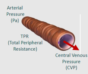 <p>Flow = Pa-CVP/TPR</p>