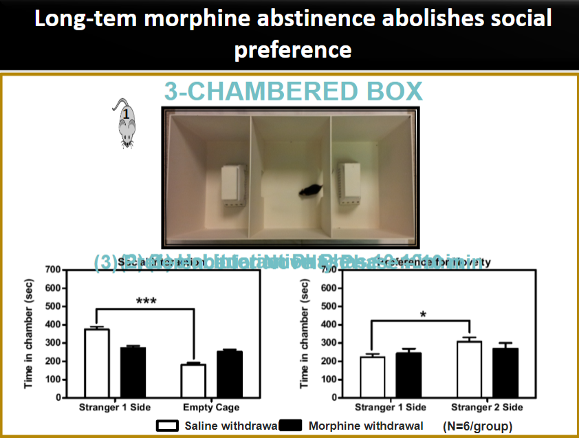 <p><strong>Social preference</strong>: Refers to the tendency to engage with social stimuli or individuals, often assessed in animal models.</p><p><strong>Long-term morphine abstinence</strong>: After prolonged cessation of morphine use, animals may show a reduction or elimination of social preference, indicating withdrawal-related changes in social behavior, possibly due to alterations in the brain’s reward and motivation systems.</p>