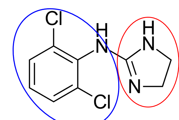 <p>What is the blue structure?</p><p></p><p>What is the red structure?</p>