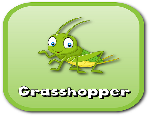 grasshopper