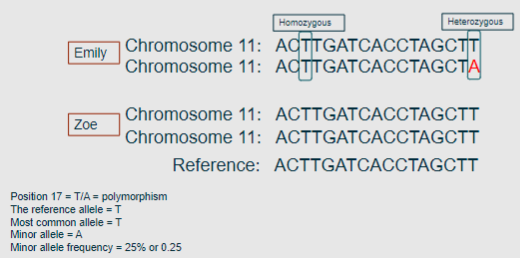 <p>No, two people differ in DNA sequence at ~9 million base pairs (bps).</p>