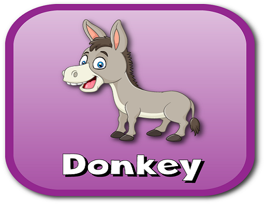 donkey