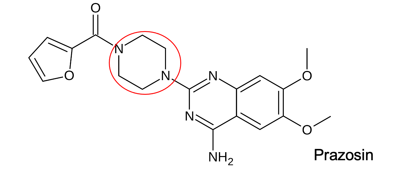 <p>What is the red structure? </p>