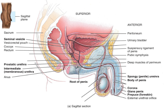 <p>Label the diagram. </p>