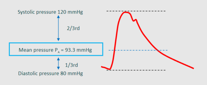 <p>Mean BP = diastolic pressure + 1/3 (pulse pressure)</p>