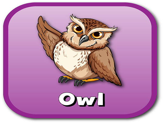 owl