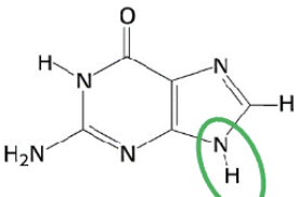 <p>Welk molecuul + variant van welk soort molecuul?</p>