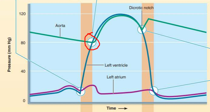 <p>describe the valve events happening</p><p>what sound does it cause?</p><p></p><p>_____________ __________ open when the ______________ pressure exceeds the _______ ___________ resulting in ____ _______ _________</p>