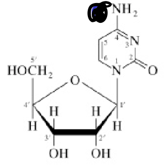 <p>Welk molecuul?</p>