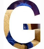 <p>grover</p>