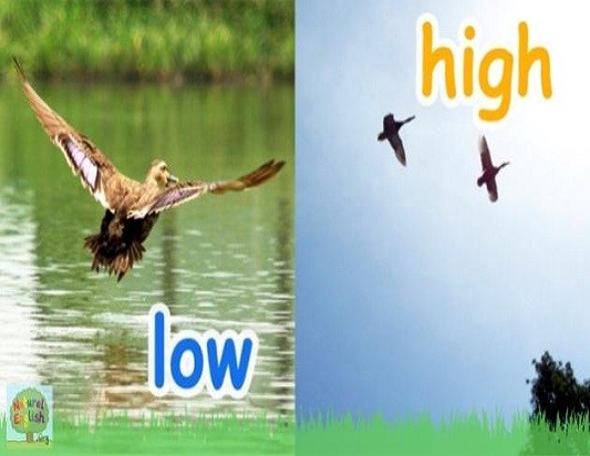 <p>low and high</p>