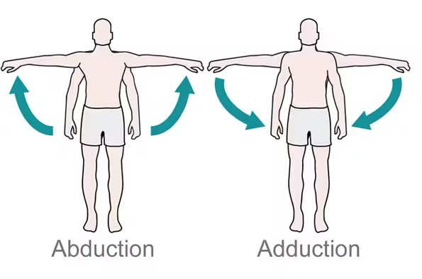 <p><u>Adduction:</u></p><p>Moving a limb toward the body midline.</p><p>Examples:</p><p>Finger adduction</p><p>Wrist adduction</p>