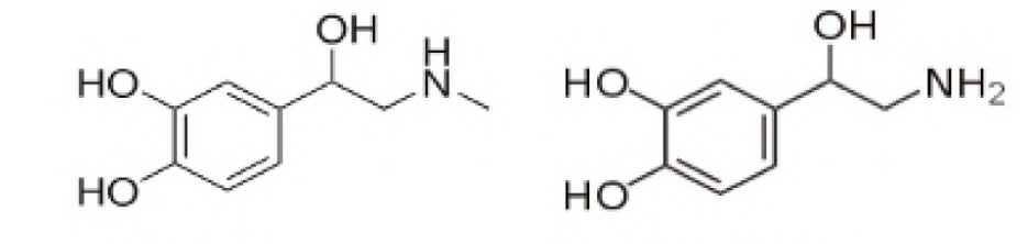 <p>A refers to the drug on the left; B refers to the drug on the right.</p><p>Which one is norepinephrine? How do you know?</p>