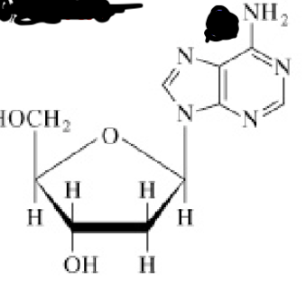 <p>Welk molecuul?</p>