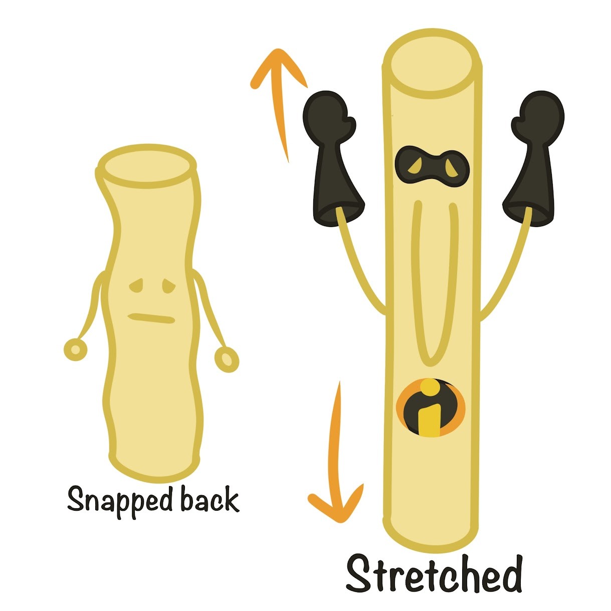 <p>Stretch and snap back to their original position; provides <span class="tt-bg-green">flexibility</span></p>