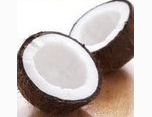 <p>coconut</p>