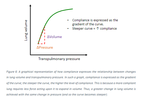 <p>Lung compliance is represented by the gradient or slope of the curve on a graph of lung volume vs. transpulmonary pressure.</p>