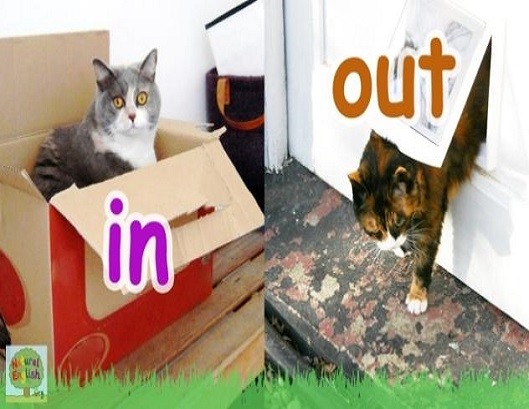 <p>in and out</p>