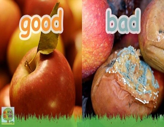 <p>good and bad</p>