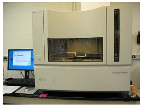 <p><strong>Automates dideoxy chain termination</strong> sequencing on a large scale.</p><p>Uses <strong>robotics</strong> for sample preparation.</p>