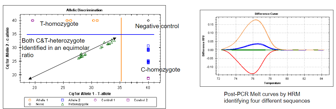 <p><strong>Answer:</strong> The two approaches used for single nucleotide polymorphism (SNP) detection in PCR are:</p><p><strong>High Resolution Melting (HRM):</strong> This method uses the melting temperature (Tm) of the amplified product to determine which sequence variant is present. Differences in Tm can indicate the presence of specific SNPs.</p><p><strong>Probe-Based Quantitative PCR (qPCR):</strong> Sometimes referred to as allelic discrimination, this approach involves the specific binding of a probe to the amplified region containing the SNP. The detection of this binding allows for the identification of the specific variant present in the sample.</p>