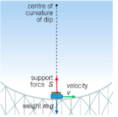 The difference between the support force and the weight acts as a centripetal force

S - mg = mv^2 / r
S = mg + mv^2 / r

So the extra force you experience due to circular motion is mv^2 / r